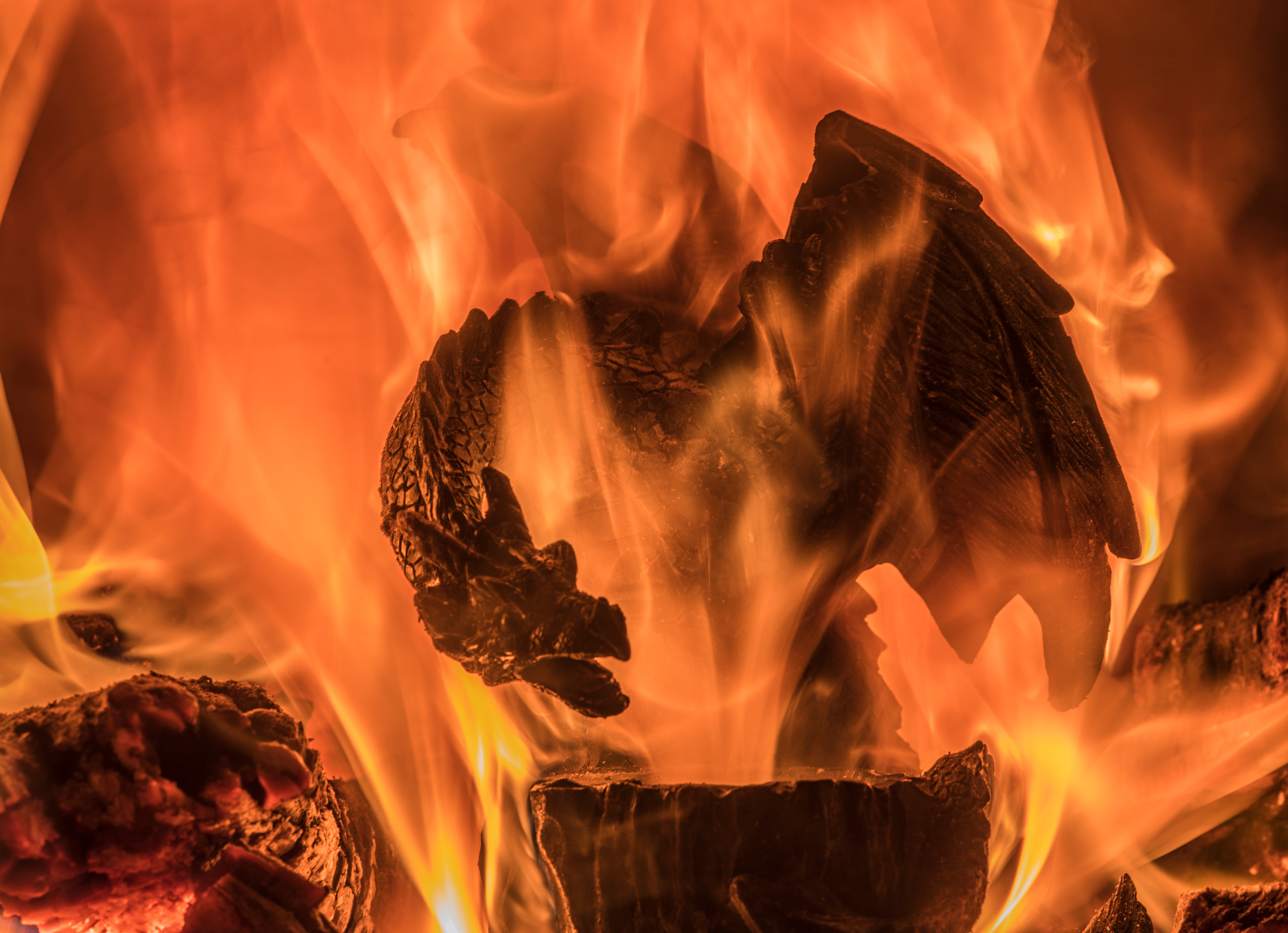 Dragon Fire